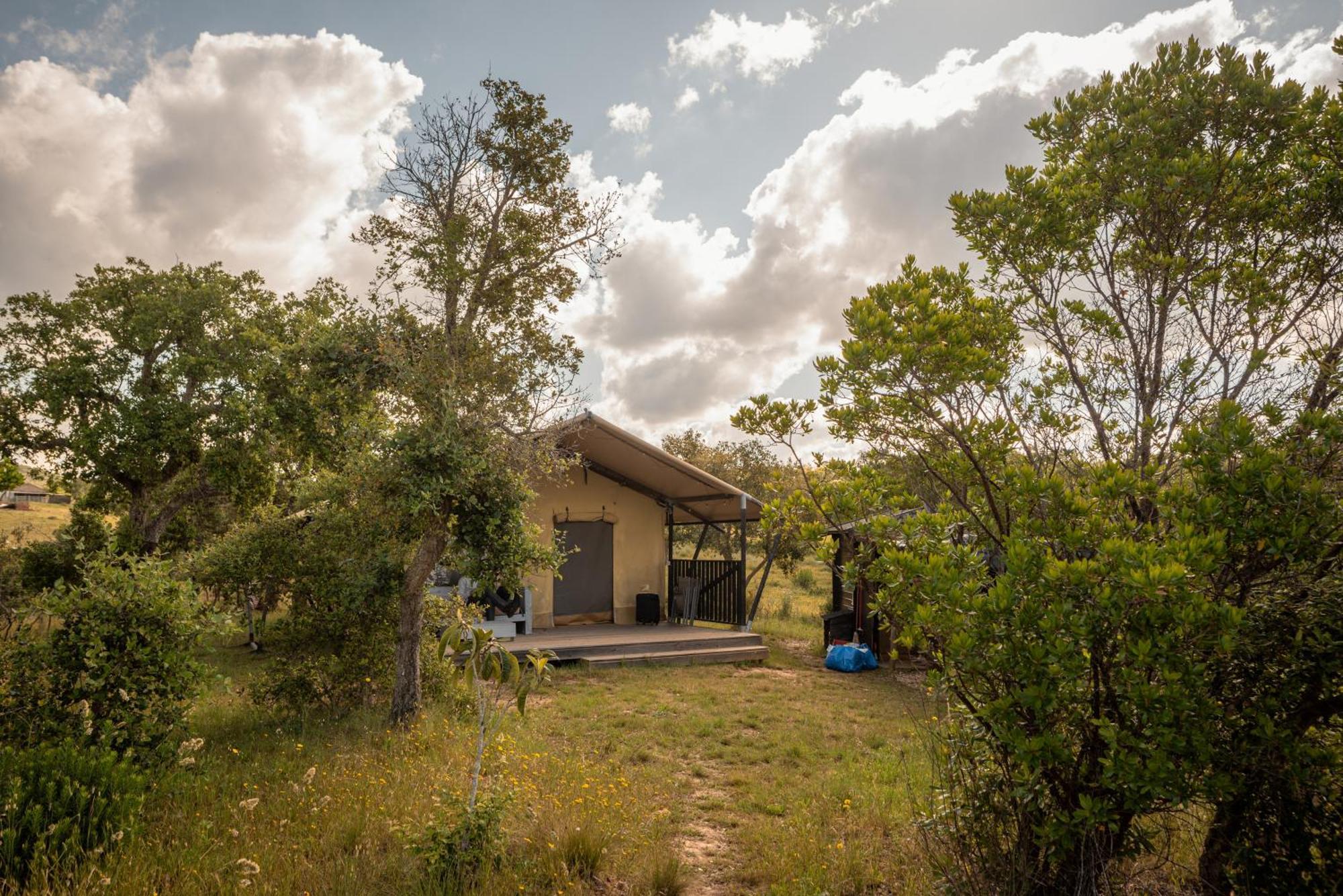 Eco Glamping Portugal Nature Lodge São Luis Exteriör bild
