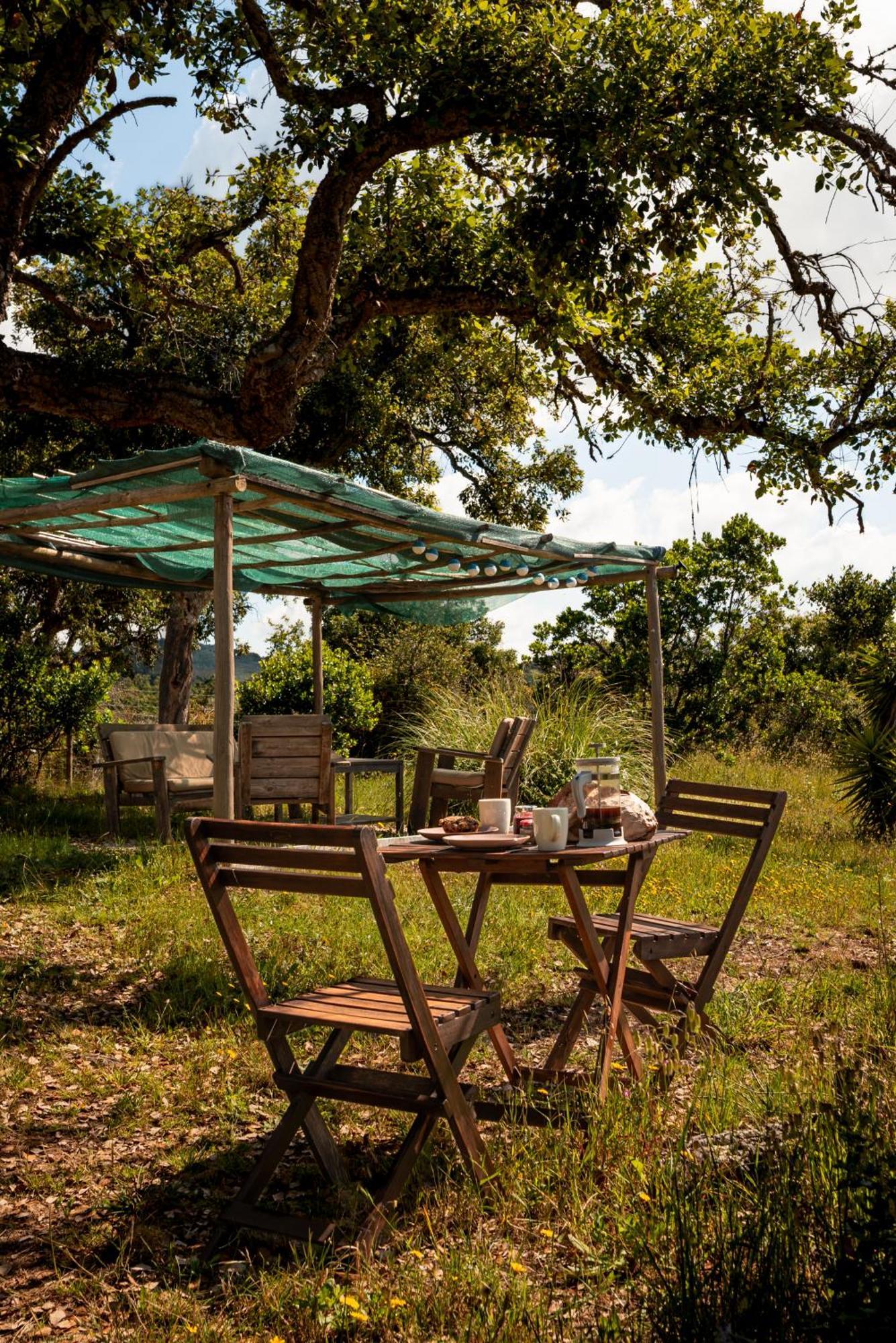 Eco Glamping Portugal Nature Lodge São Luis Exteriör bild